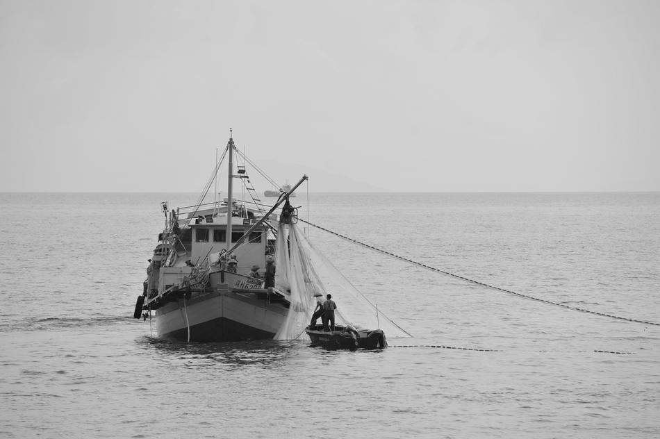 incredible Sea Times Fishing