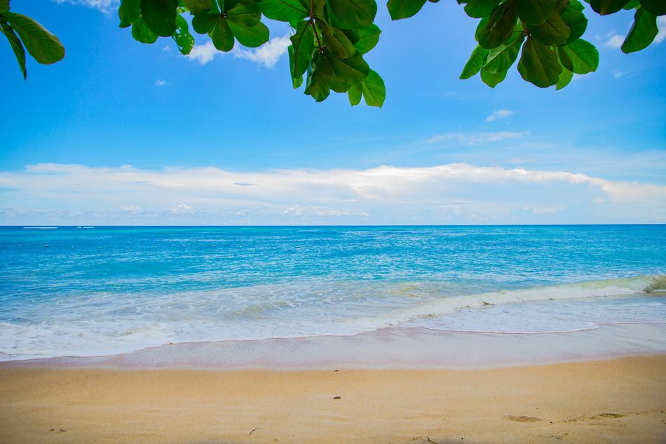 beach near the bay