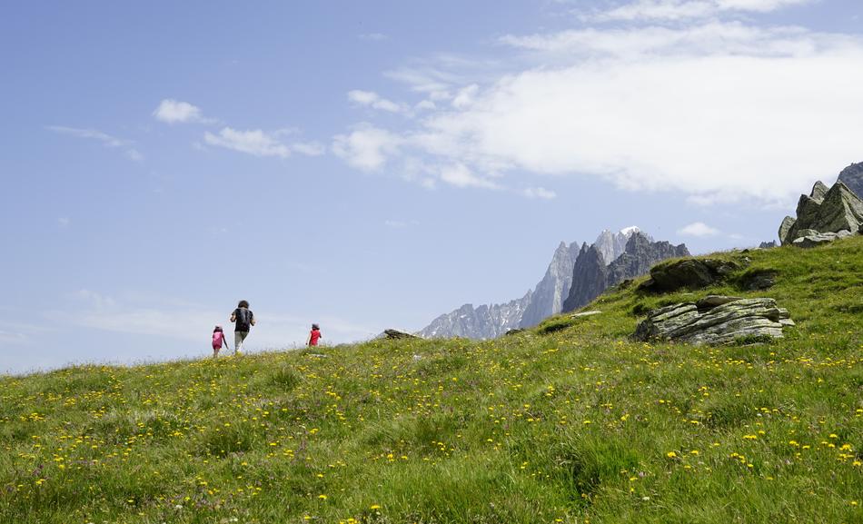 landscape of Europe Alps Montblanc