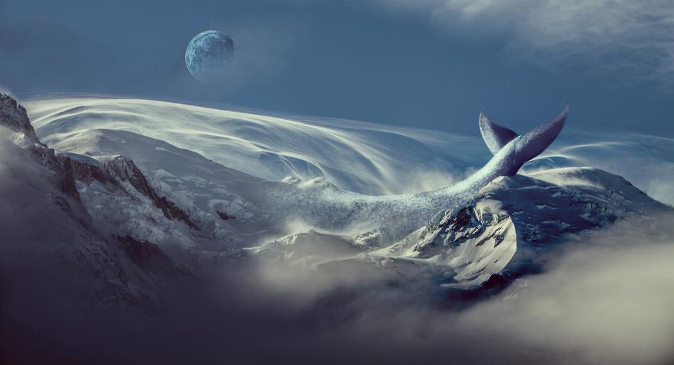 amazing Nature Ocean