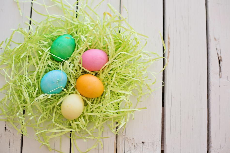 bright easter eggs in a nest on the table
