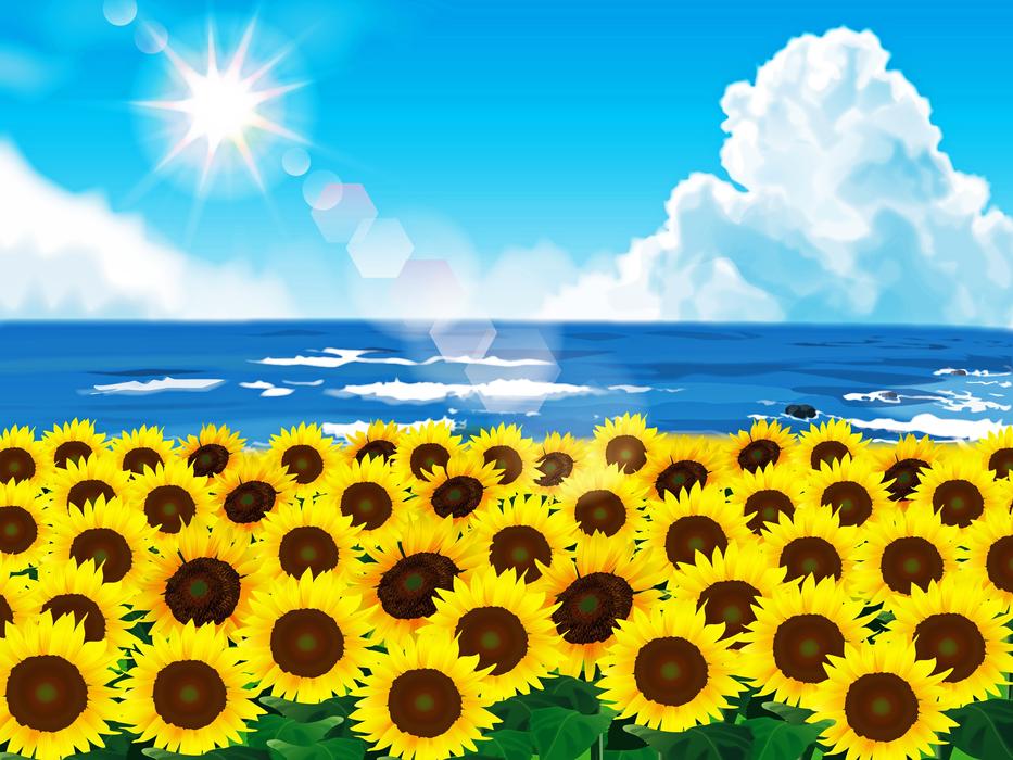 sunflower and sea drawing