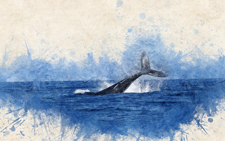 Whale Watercolor drawing