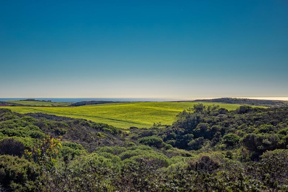 Meadow Coastline