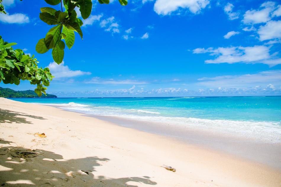 Beach Beautiful