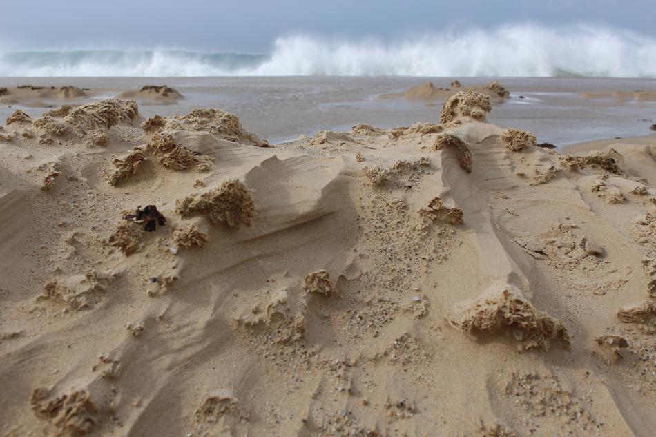 Sand and SeaWave