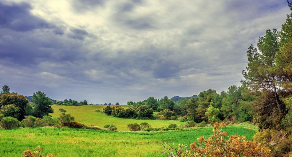 perfect Rural Landscape