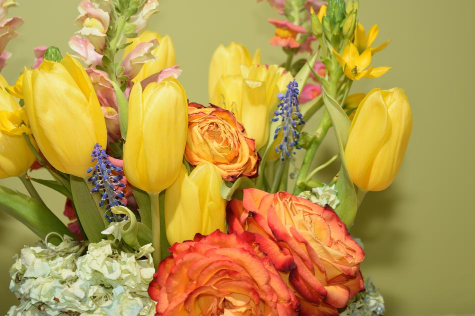 Beautiful and colorful flowers at green wall background