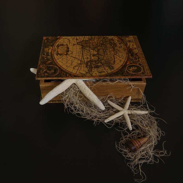 Treasure chest Starfish