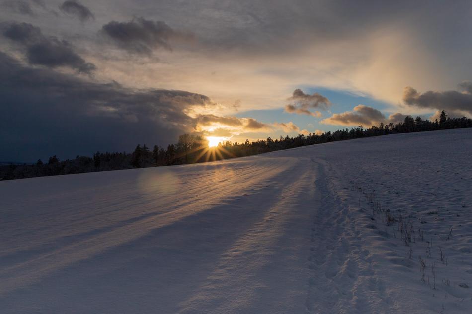 Winter Snow Wide