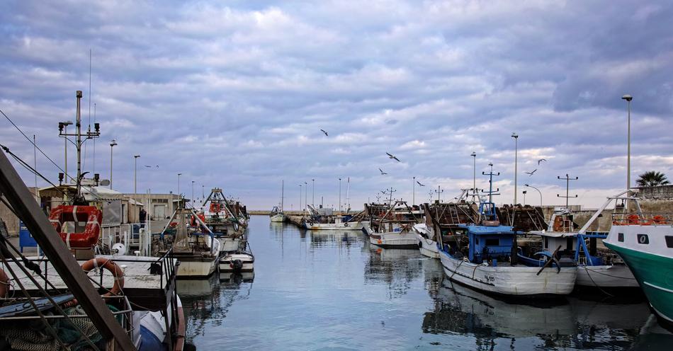 harbor with boats in Manfredonia