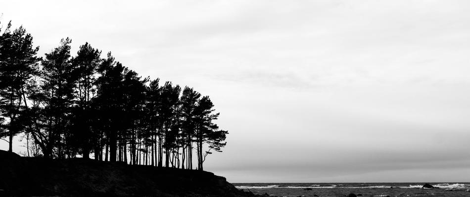 extraordinarily beautiful Nature Black And White