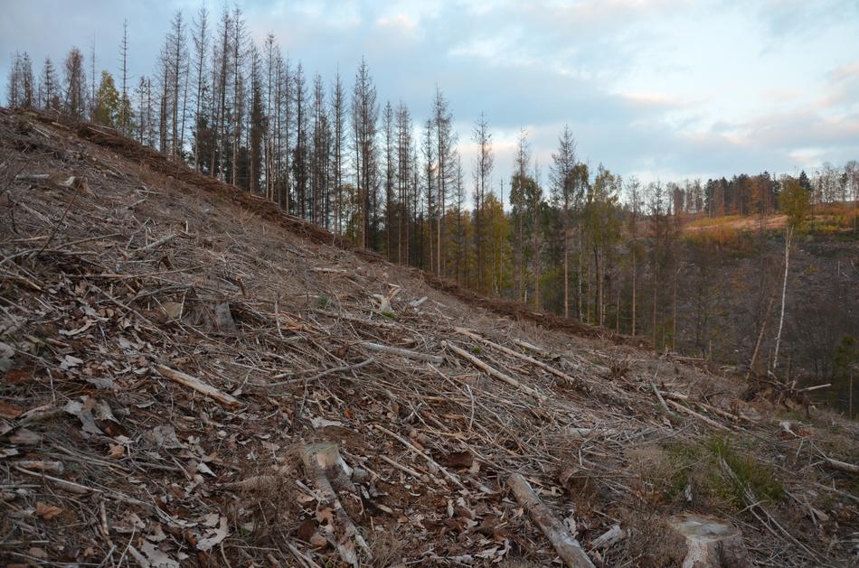 disaster in the mountains Vysoky Jesenik