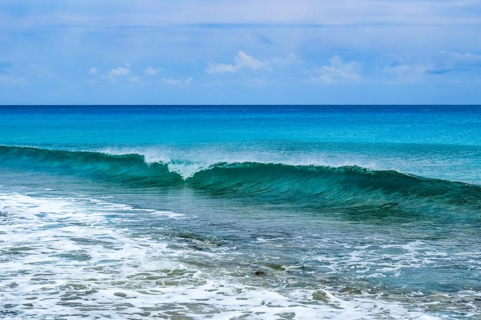Seascape Surf