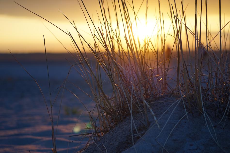 wonderful Sunset Summer