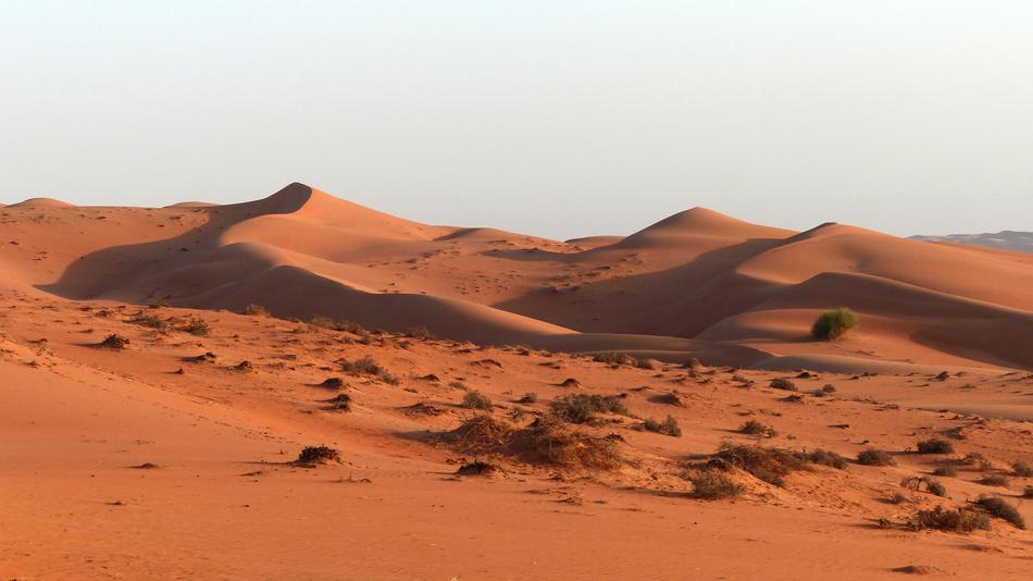 Desert red Dunes