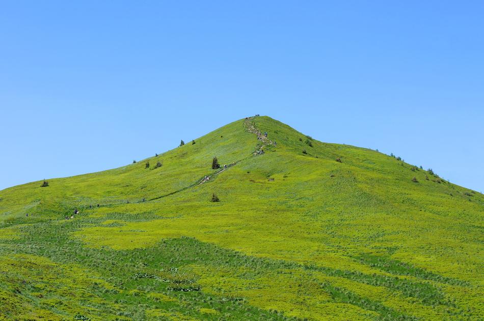 Beautiful green mountain, with the path and trees, under the blue sky