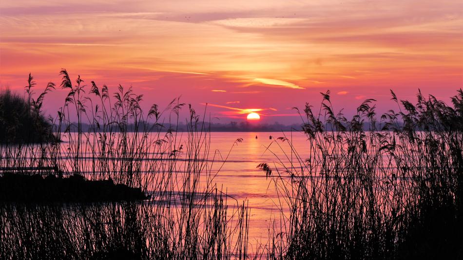 magnificent pink Landscape