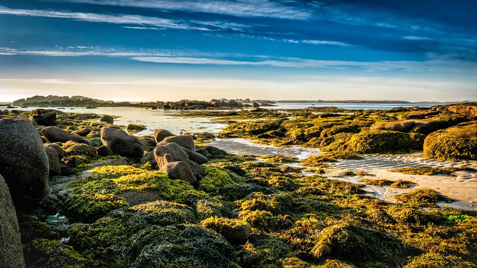 green stones on the coast of brittany