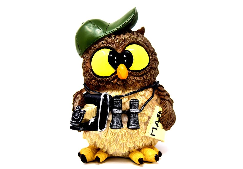 clipart of Owl Photographer toy