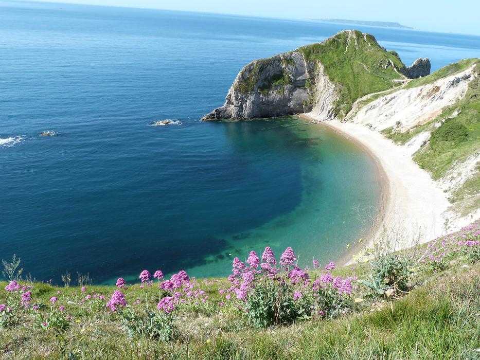 Beautiful Bat's Head coast with colorful plants and flowers in Dorset, England