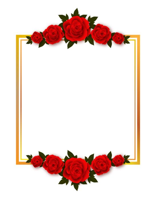 rose flowers plate frame drawing