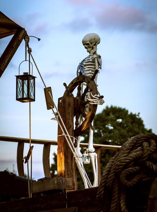 Skeleton Ship