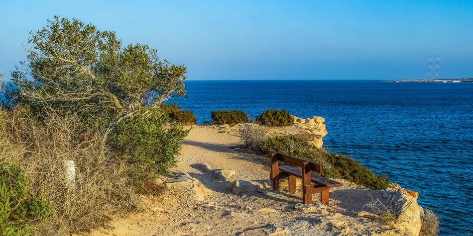 Point Cliff Landscape