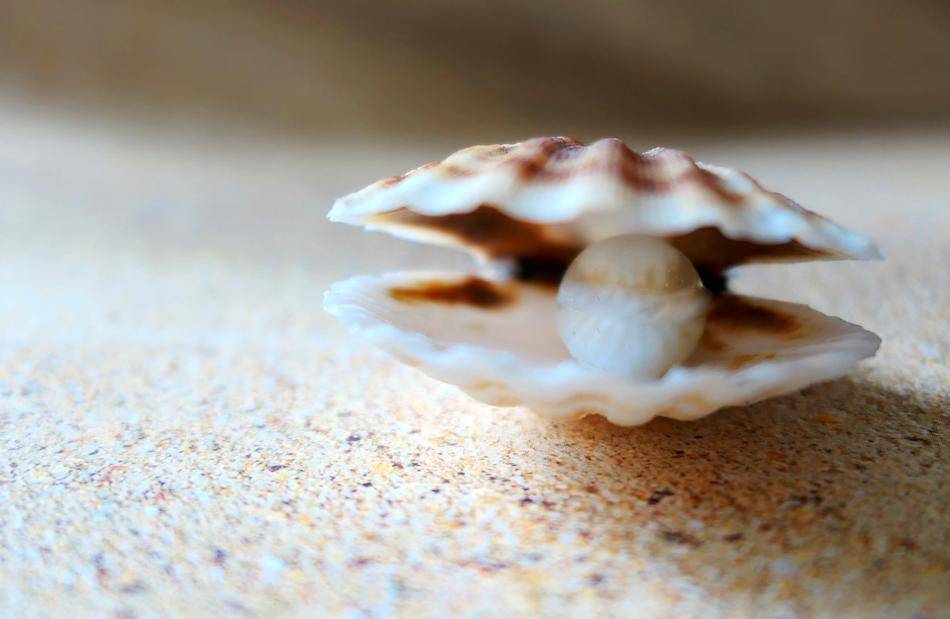 Close-up of the colorful and beautiful shell, with the pearl, on the colorful beach