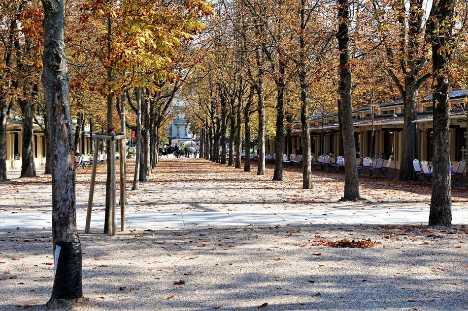 landscape of Baden Pump Room Architecture