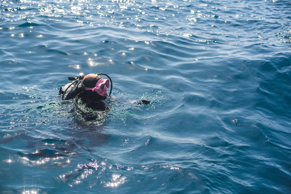 diver at sea in the philippines