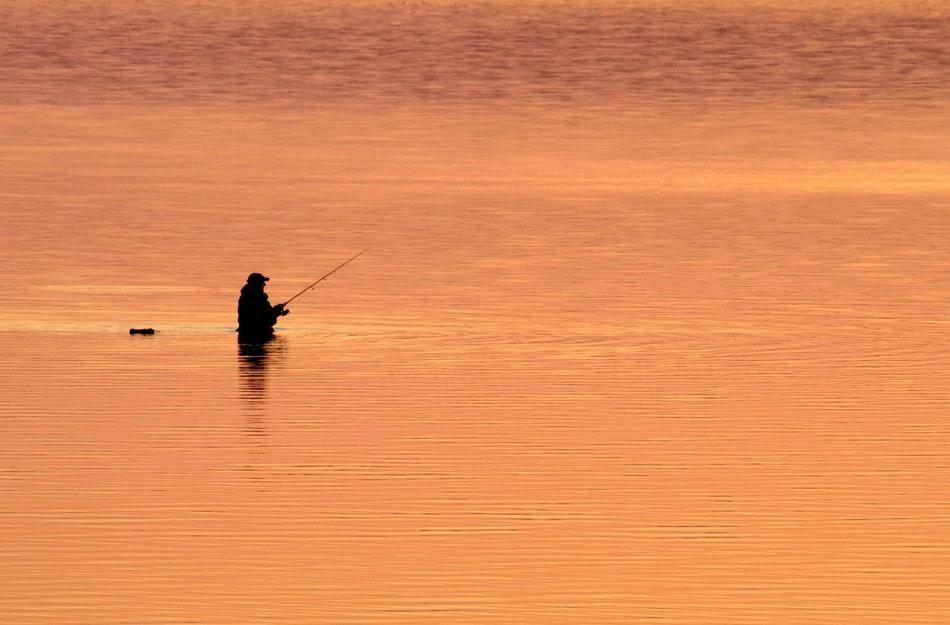 Fish Dawn person