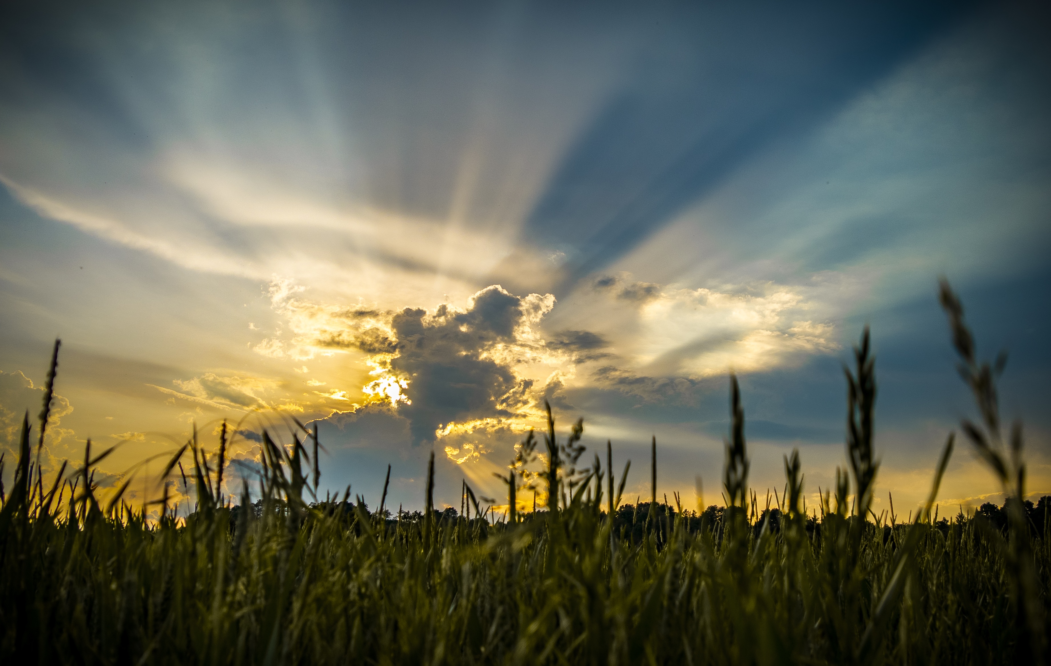 Evening sky over a green field at dusk free image download