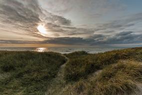 Beautiful landscape with the dunes near the North Sea, at beautiful sunset in Denmark