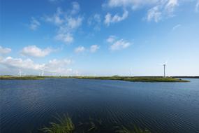 Water Wetland Park
