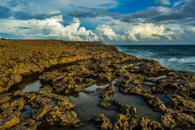 Rocky Coast Wilderness