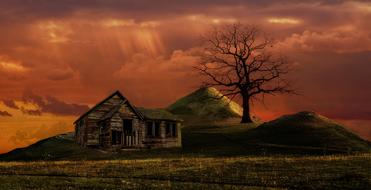 abandoned wooden house near a tree on a mountain at dusk