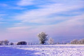 Beautiful landscape of the colorful, snowy field with the trees, in winter