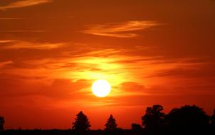 Beautiful and colorful, bright sunset, above the landscape with the silhouettes of the trees