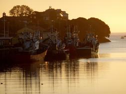 Sunrise Boat