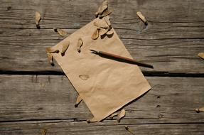 Old Paper and Pen