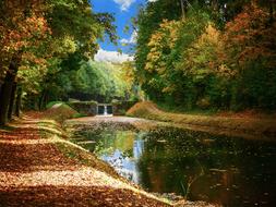 Landscape Nature Forest river