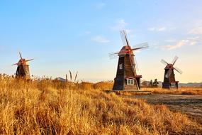 landscape of Windmill and dry Field