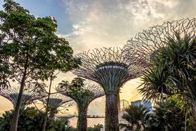 Singapore City Architecture trees