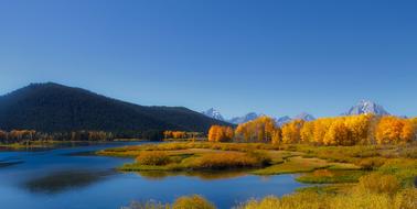 Beautiful and colorful panorama of the lake, mountains and colorful plants, in the Grand Teton National Park, in the autumn