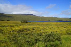 Landscape of Scotland North