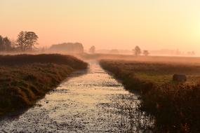 The Kampinos Forest at Sunrise Dawn