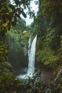 Water Waterfall forest
