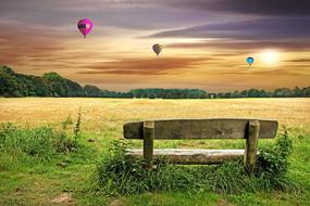 Bank Meadow Park balloons