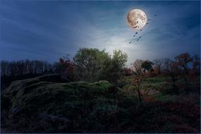 Landscapes Moon Night Full white